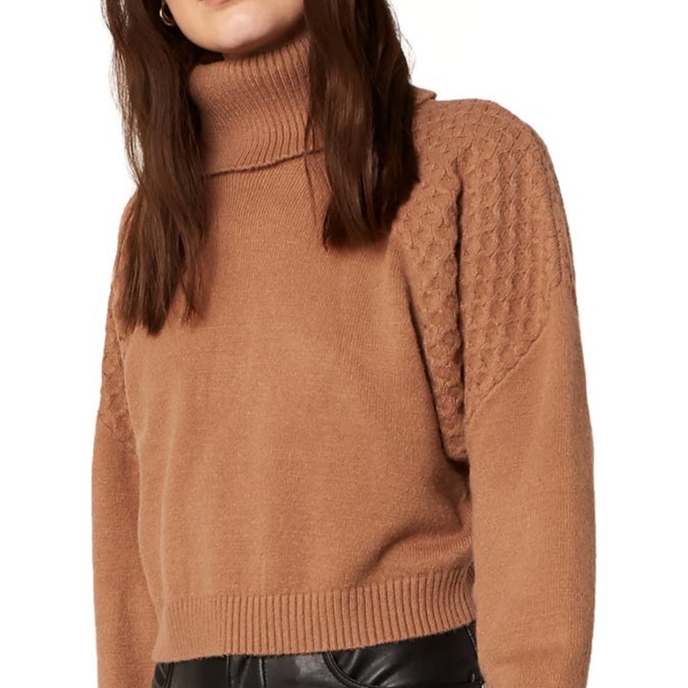 BB Dakota X Steve Madden Wing Commander Dolman Sleeve Turtleneck Sweater